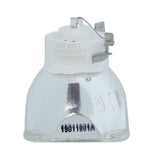 ACTO 1300052500 Ushio Projector Bare Lamp