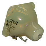 BenQ 5J.J1M02.001 Osram Projector Bare Lamp