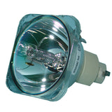 BenQ 5J.J1105.001 Osram Projector Bare Lamp