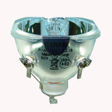 Viewsonic RLC-009 Osram Projector Bare Lamp