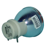 BenQ 5J.J0605.001 Osram Projector Bare Lamp