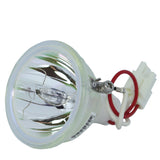 Dukane 456-7300 Phoenix Projector Bare Lamp