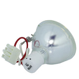 Knoll Systems SP-LAMP-021 Phoenix Projector Bare Lamp