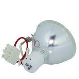 Ask Proxima SP-LAMP-018 Phoenix Projector Bare Lamp
