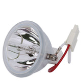 Knoll Systems SP-LAMP-025 Phoenix Projector Bare Lamp