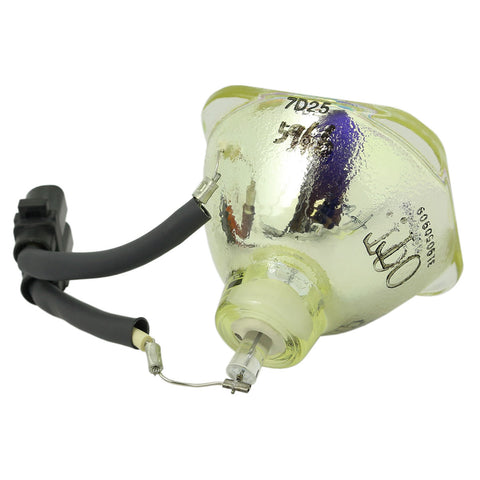 IWASAKI HS200AR08-2E OEM Projector Bare Lamp - Thumbnail 4