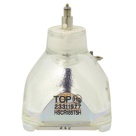 IWASAKI HSCR165T5H OEM Projector Bare Lamp - Thumbnail 2