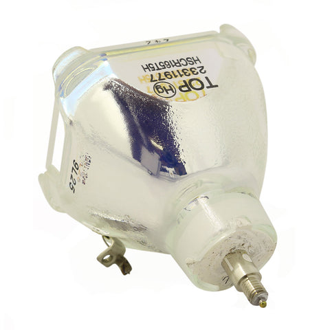 IWASAKI HSCR165T5H OEM Projector Bare Lamp - Thumbnail 3