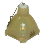 Sanyo POA-LMP34 Philips Projector Bare Lamp