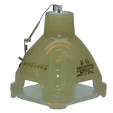 Yokogawa D1100S Philips Projector Bare Lamp