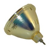 Sanyo POA-LMP29 Philips Projector Bare Lamp
