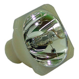 Digital Projection 105-495 Philips Projector Bare Lamp
