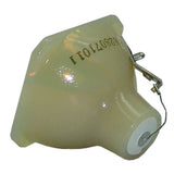 BenQ 5J.J3E05.001 Philips Projector Bare Lamp