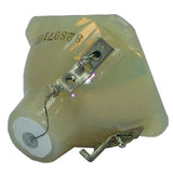 Digital Projection 105-495 Philips Projector Bare Lamp