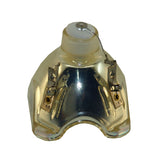 Liesegang ZU0214-04-4010 Philips Projector Bare Lamp