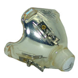 Liesegang ZU0214-04-4010 Philips Projector Bare Lamp