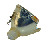 Liesegang ZU0214-04-4010 Philips Projector Bare Lamp