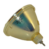 Sanyo POA-LMP24 Philips Projector Bare Lamp