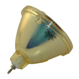 Ask Proxima LAMP-016 Philips Projector Bare Lamp