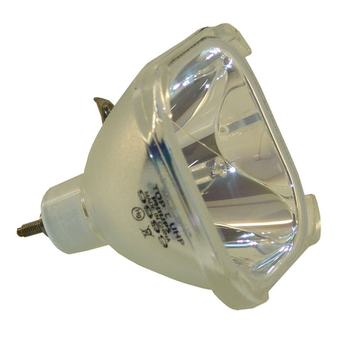 Liesegang ZU0254-04-4010 Philips Projector Bare Lamp