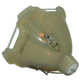 Liesegang ZU0273-04-4010 Philips Projector Bare Lamp