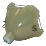 Sanyo POA-LMP48 Philips Projector Bare Lamp