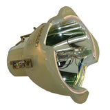 Digital Projection 109-387A Philips Projector Bare Lamp