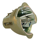 BenQ 5J.J2A01.001 Philips Projector Bare Lamp