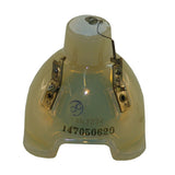 Digital Projection 109-387A Philips Projector Bare Lamp