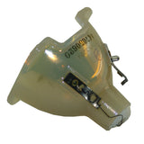 Barco R9801272 Philips Projector Bare Lamp