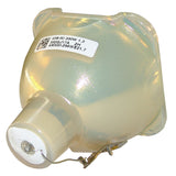 Digital Projection 109-215J Philips Projector Bare Lamp