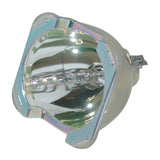 Acer EC.K2500.001 Philips Projector Bare Lamp