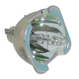 Acer EC.K2500.001 Philips Projector Bare Lamp