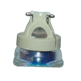Viewsonic RLC-076 Philips Projector Bare Lamp