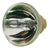 BenQ 5J.J9E05.001 Philips Projector Bare Lamp