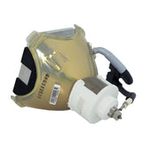 Liesegang ZU0288-04-4010 Ushio Projector Bare Lamp