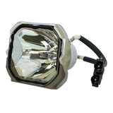Liesegang ZU0270-04-4010 Ushio Projector Bare Lamp