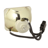 Canon RS-LP04 Ushio Projector Bare Lamp