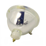 Sharp AN-R65LP2/1 Bare TV Lamp