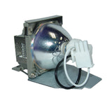 BenQ 5J.J0A05.001 Phoenix Projector Lamp Module