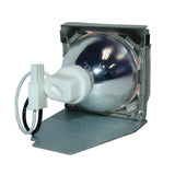 BenQ 5J.J0A05.001 Phoenix Projector Lamp Module