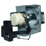 BenQ 5J.J3V05.001 Philips Projector Lamp Module