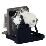 Kindermann P4184-1005 Ushio Projector Lamp Module