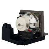 Kindermann P4184-1005 Ushio Projector Lamp Module