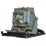 Vivitek 5811100795-SU Osram Projector Lamp Module