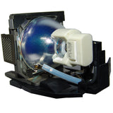 BenQ 5J.08G01.001 Osram Projector Lamp Module