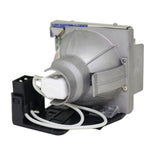 BenQ 5J.Y1605.001 Phoenix Projector Lamp Module