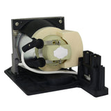 Acer EC.JBU00.001 Philips Projector Lamp Module