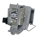 Dell 725-BBDO Philips Projector Lamp Module