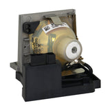 Kindermann P4184-1005 Philips Projector Lamp Module